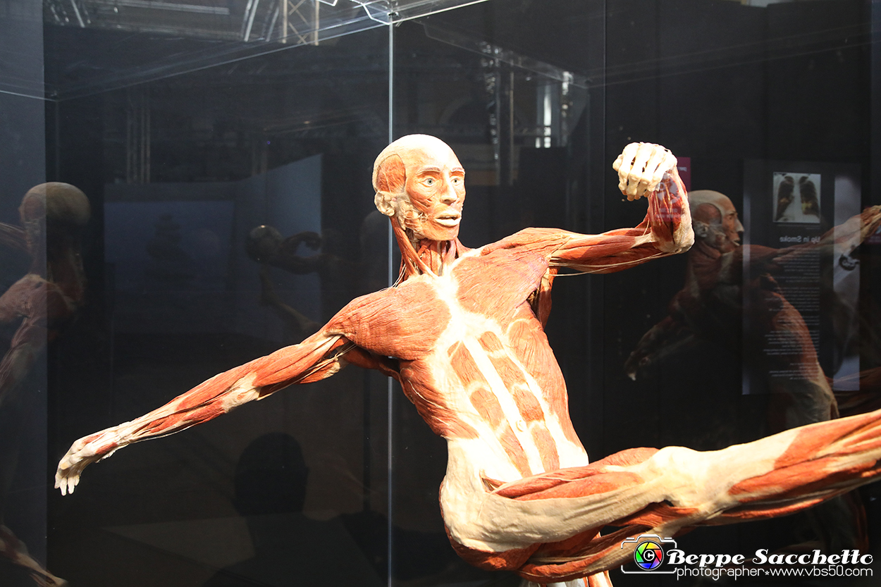 VBS_2615 - Mostra Body Worlds.jpg